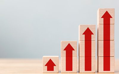 Wealth managers compartilham suas visões de investimento após alta de juros